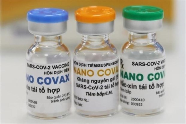 尽快完善新冠疫苗许可审批流程和防疫药物生产工作 hinh anh 1