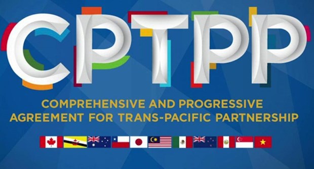 越南外交部发言人：越南愿分享加入CPTPP的信息和经验 hinh anh 2