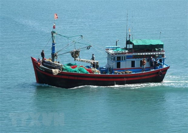 解除IUU黄牌警告：槟椥省98.8%的船舶已安装巡航监控设备 hinh anh 1