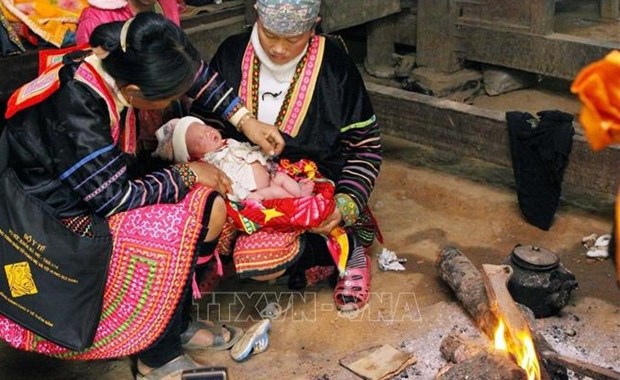 国际伙伴向降低越南少数民族地区产妇死亡率项目提供逾200万美元 hinh anh 1