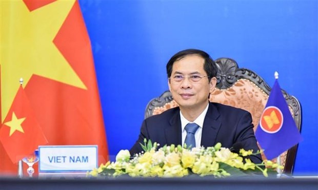 越南外长裴青山访俄证明加强两国全面战略伙伴关系是越南的优先事项 hinh anh 1