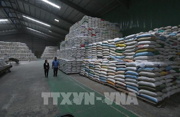 继续向胡志明市发放逾56555吨大米援助受疫情影响的民众 hinh anh 1