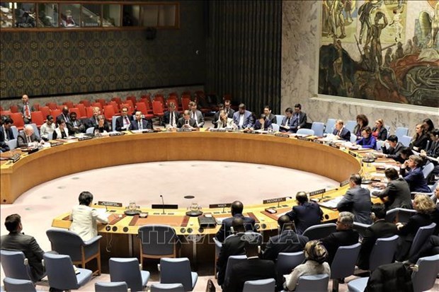 越南与联合国安理会：越南重申核不扩散与核裁军的政策 hinh anh 1