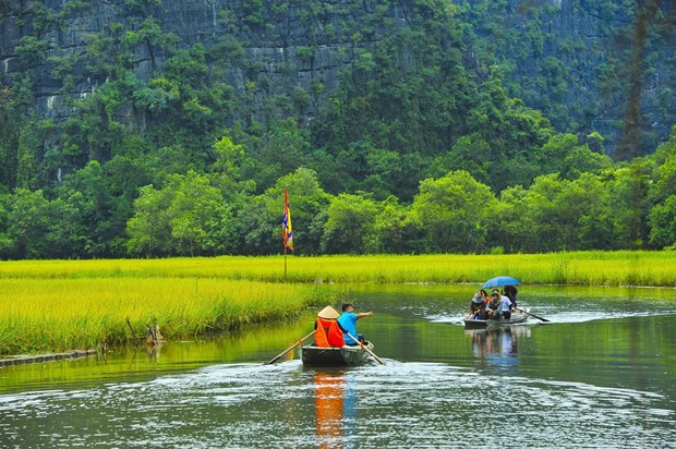越南努力成为具有吸引力的生态旅游目的地 hinh anh 2