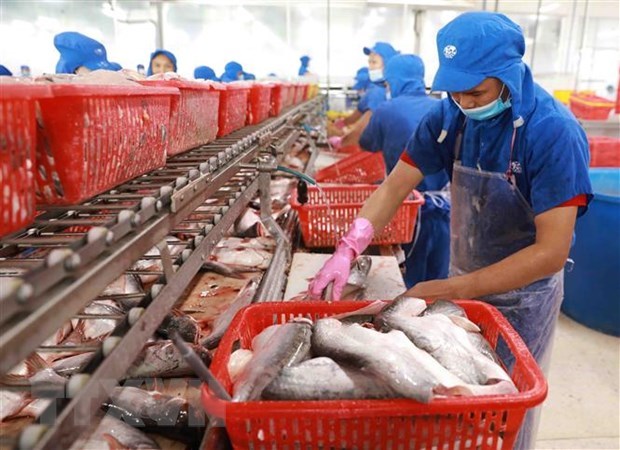 越南与欧盟加强农林水产品的贸易合作 hinh anh 1