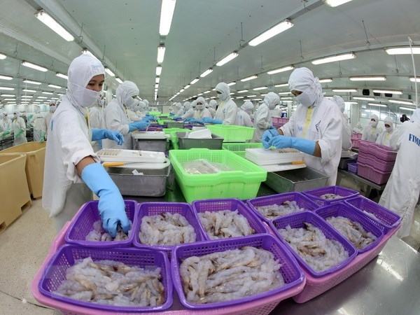 越南虾类产品在美国市场占有率增加 hinh anh 1