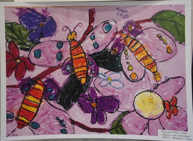 越南两名儿童获得题为“星球的自然”的国际儿童绘画比赛的大奖 hinh anh 1