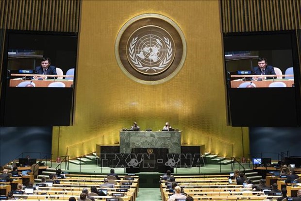 越南与联合国安理会：越南谴责引起海地政治不稳定的行为 hinh anh 1