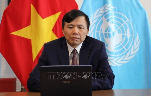 越南常驻驻联合国代表邓廷贵：越南将尽力完成自己的使命 hinh anh 1