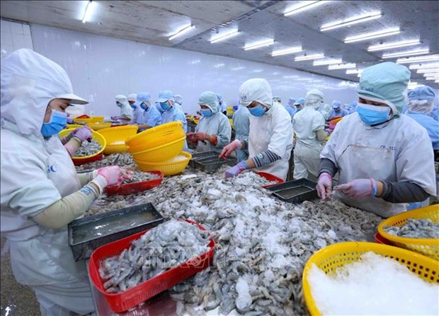 越南对俄罗斯的虾类出口额同比增长51% hinh anh 1