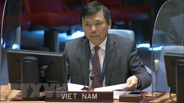 越南与联合国安理会：越南呼吁国际社会加强对刚果的支持 hinh anh 1