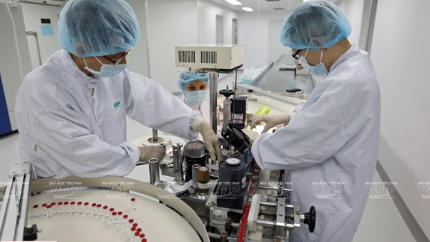 至2025年越南掌握10种疫苗生产技术 hinh anh 2