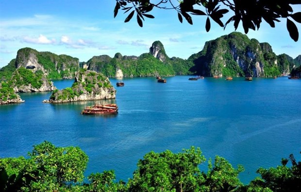旅游活动助力向世界推介越南遗产美丽形象 hinh anh 1