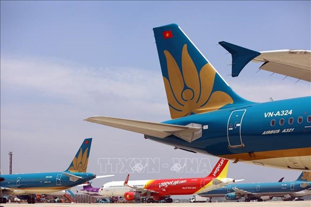 越南交通运输部发布国内航班恢复计划的临时规定 hinh anh 1