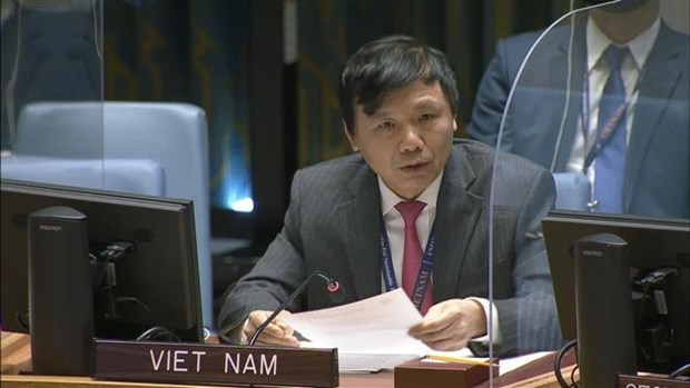 越南与联合国安理会：越南承诺在联合国大会第一委员会一般性辩论上促进国际和平与安全 hinh anh 1