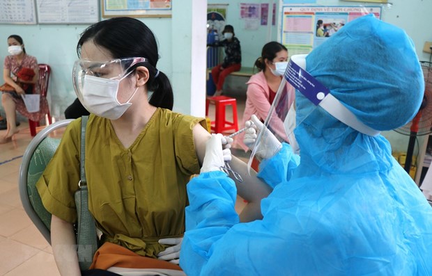 印度尼西亚专家建言献策 助力越南抗击新冠疫情 hinh anh 1