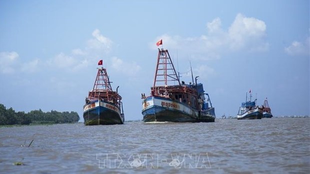 越南严厉打击在外国海域的非法捕鱼活动 hinh anh 1