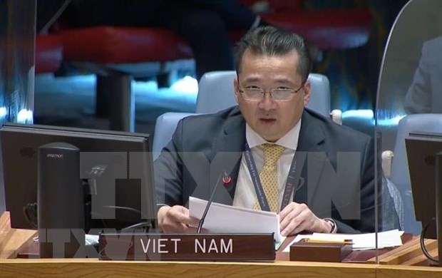 越南与联合国安理会：越南支持对科索沃问题的长期和平解决方案 hinh anh 1