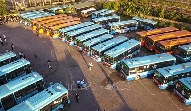 交通运输部建议各地增加跨省客运班车班次 hinh anh 1