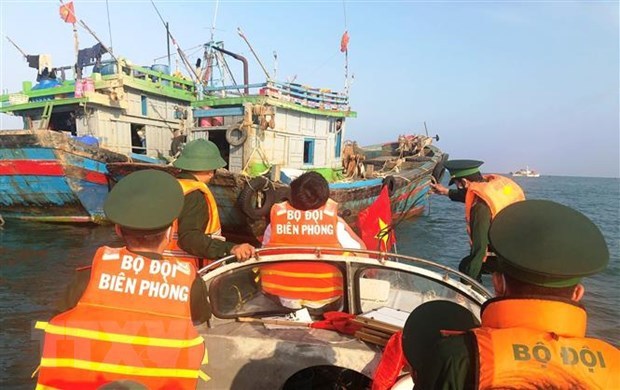 越南水产企业兑现打击IUU渔业捕捞的承诺 hinh anh 1