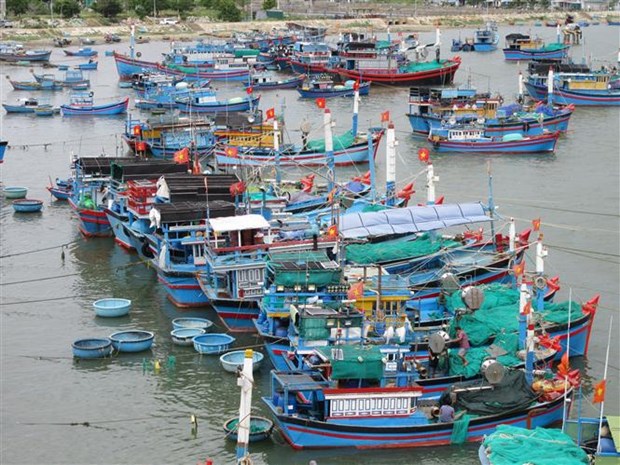 越南海洋岛屿：助力渔民返海谋生 hinh anh 2