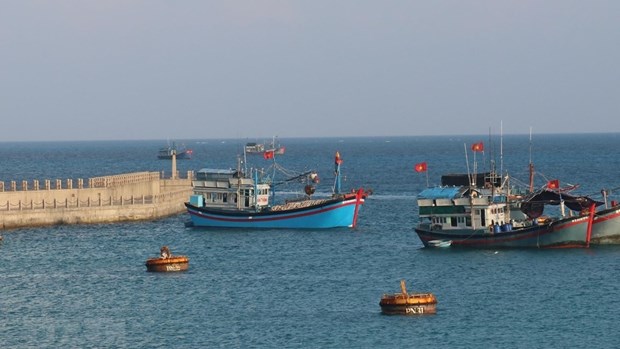 越南海洋岛屿：助力渔民返海谋生 hinh anh 1