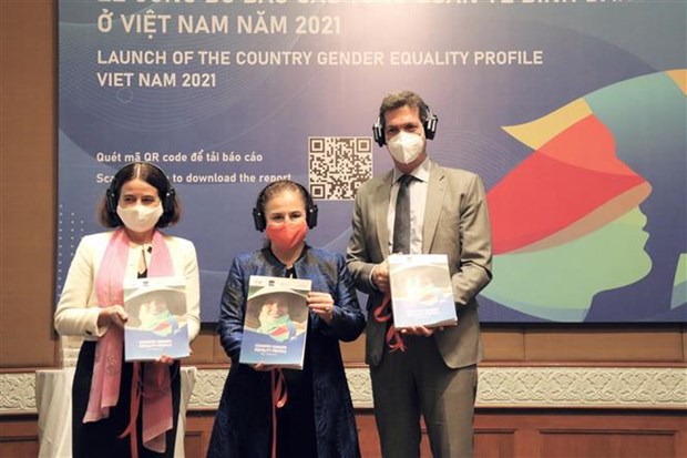 越南首次发布关于性别平等的综合报告 hinh anh 1