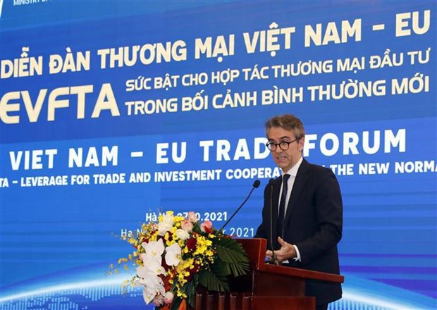 EVFTA——越南与欧盟企业发展的动力 hinh anh 2