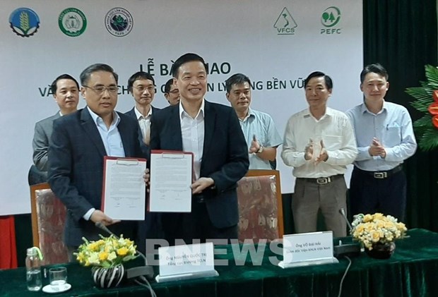提高越南森林认证品牌在国际市场上的地位 hinh anh 1