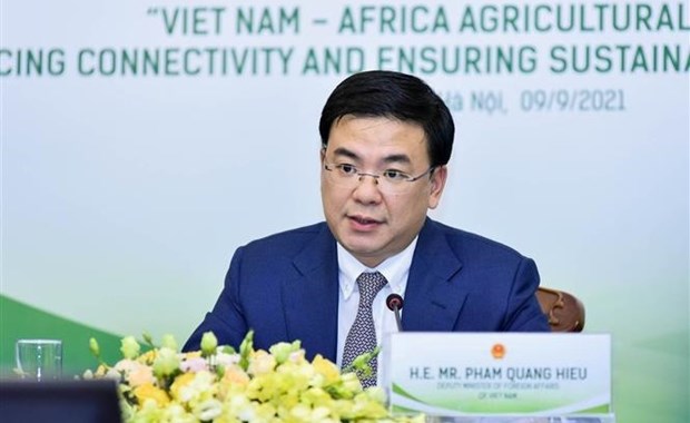 越南副外长范光效：越南希望推动与非洲国家的合作关系 hinh anh 1