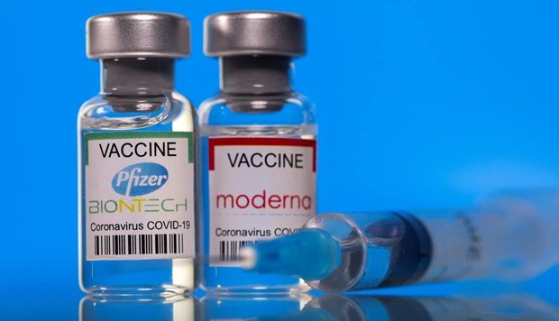 越南卫生部批准 2 种针对儿童的新冠疫苗 hinh anh 1