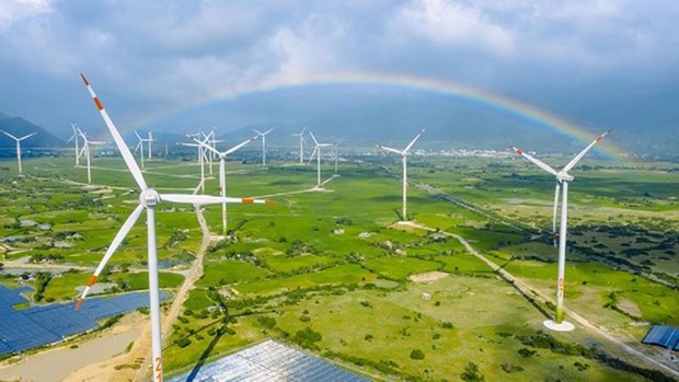 越南获准投入商业运营的风力发电厂共42个 hinh anh 1