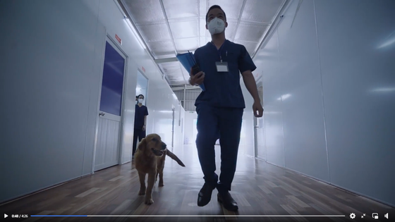 韩国旅游发展局制作MV音乐视频 鼓励越南抗疫一线人员 hinh anh 3