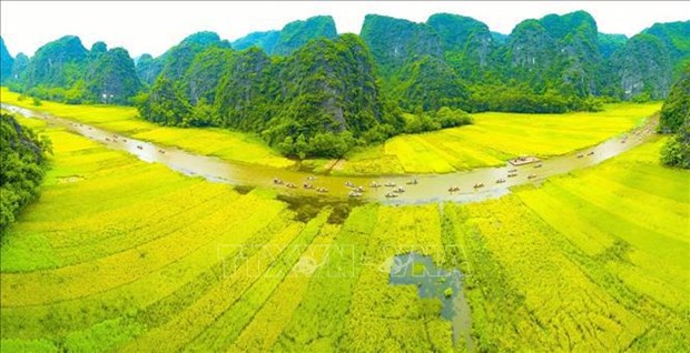 法国《费加罗报》：越南拥有世界遗产宝藏 hinh anh 2