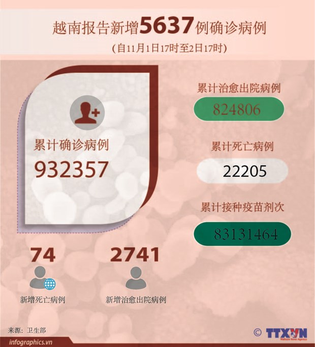 11月2日越南52个省市新增新冠肺炎确诊病例5613例 胡志明市新增病例数大幅下降 hinh anh 2