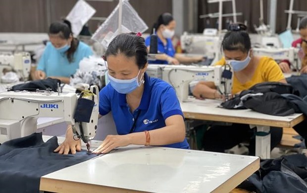 越南全国834万名受疫情影响劳动者获得失业保险基金的资金支持 hinh anh 1