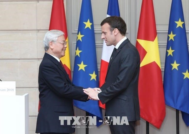 法国总统：越南在法国政策中具有特别的地位 hinh anh 1