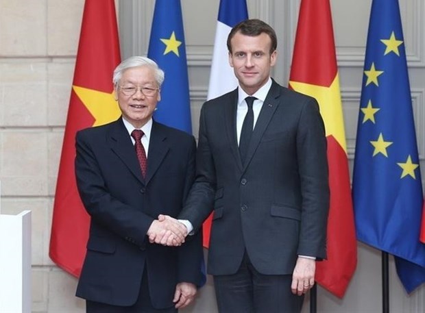 越南驻法国大使丁全胜：越法关系是“量”的积累和“质”的提升 hinh anh 1