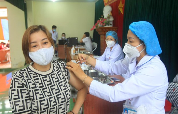 11月6日越南新增确诊病例7491例 新增治愈病例1754例 hinh anh 1