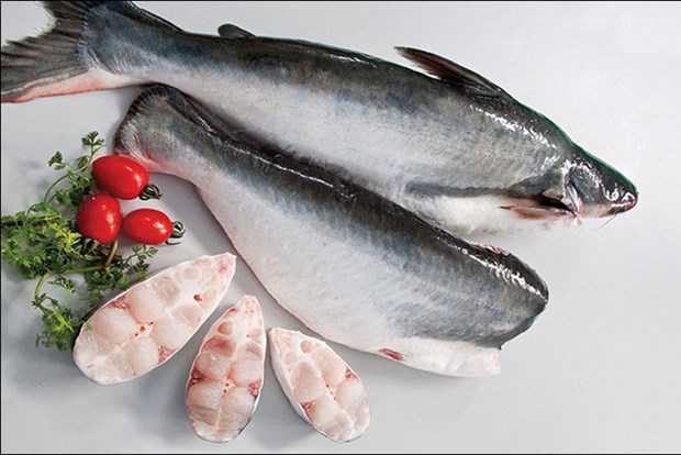 越南查鱼占美国鲶鱼进口总量的93% hinh anh 1