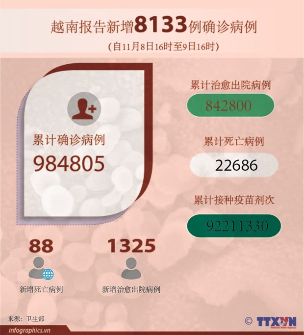 11月9日越南新增新冠肺炎确诊病例超8000例 河内市新增268例 hinh anh 2