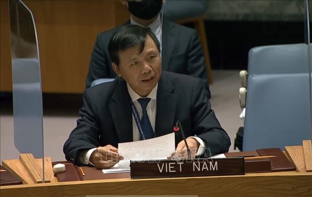 越南与联合国安理会：越南呼吁解决引起不平等的根源 hinh anh 2