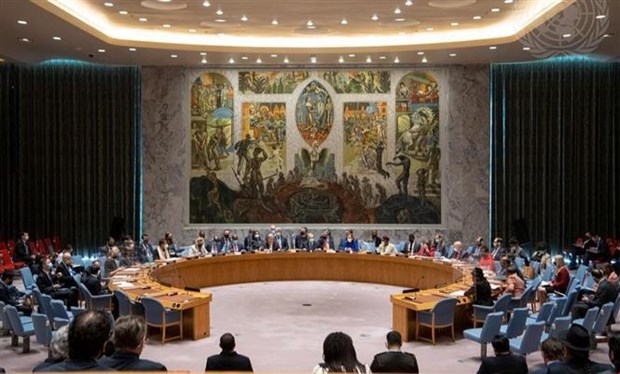 越南与联合国安理会：越南呼吁解决引起不平等的根源 hinh anh 1