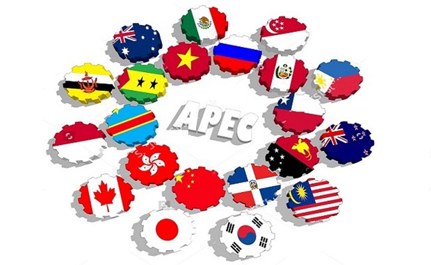 越南副外长邓黄江：越南期待APEC继续彰显其作为经济合作和联系重要论坛的作用 hinh anh 1