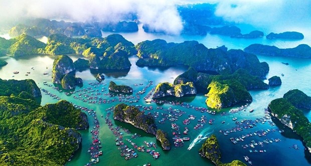 越南政府总理关于加强海洋保护区管理工作效果的重要指示 hinh anh 1