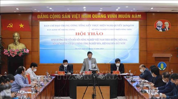 重组越南农业 朝着现代化可持续方向 发展 hinh anh 1