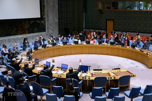 越南与联合国安理会：国际社会需积极促进叙利亚各方的谈判 hinh anh 1