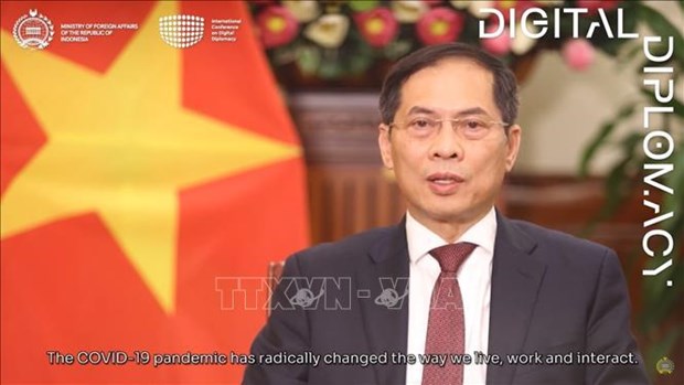 越南出席有关数字化外交的国会会议 hinh anh 1