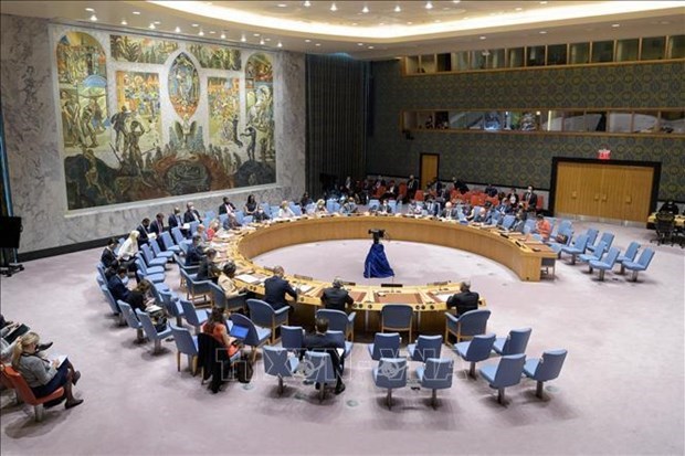 越南与联合国安理会：联合国安理会呼吁有关各方确保索马里即将举行的选举的安全 hinh anh 1
