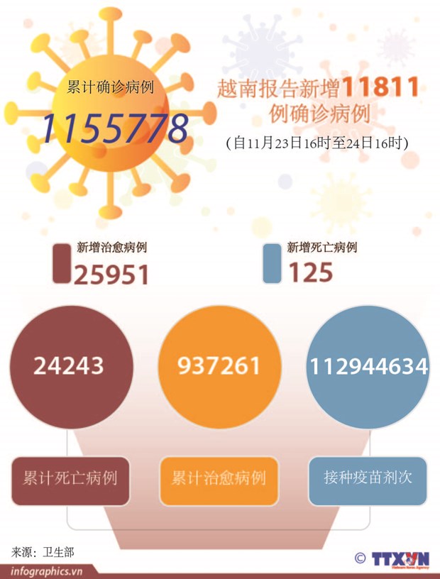 11月24日 越南新增11789例本地新冠肺炎确诊病例 新增治愈出院病例25951例 hinh anh 2